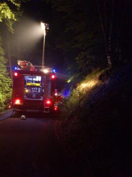  Fotografiji iz današnjega požara, posnete z GSM aparatom (Foto PGD Stična) 3